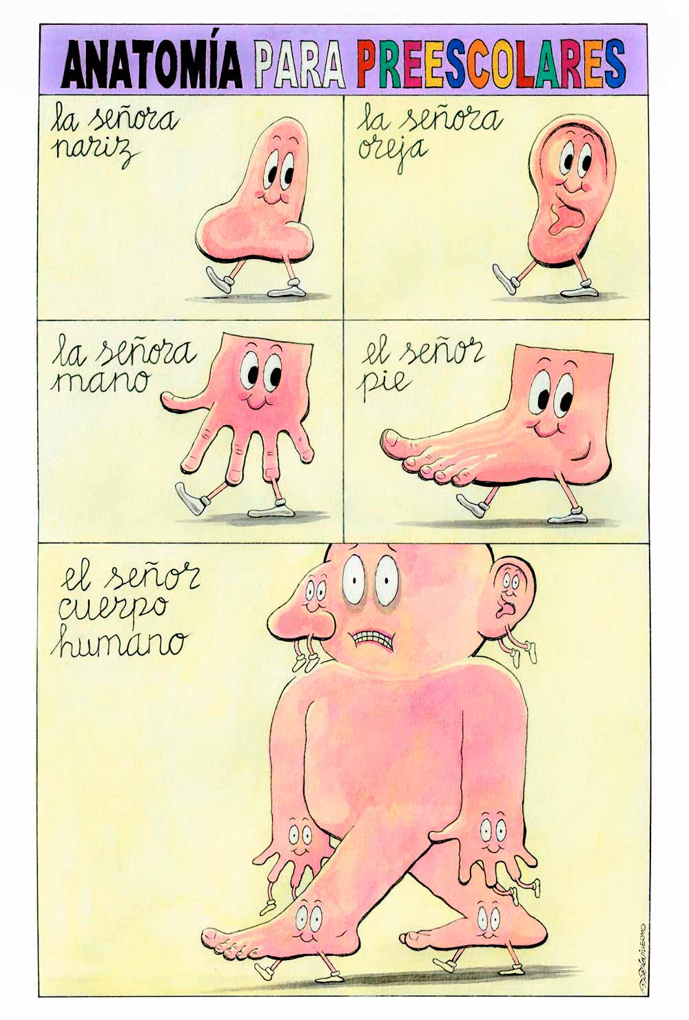 Anatomía para preescolares.
